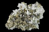 Pyrite, Galena, Fluorite and Quartz Association - Peru #149593-1